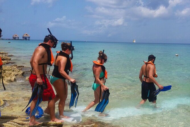 Discover the Best Buggy Adventure in Cozumel from Riviera Maya - The Sum Up