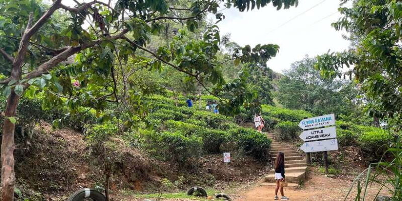 Discover the Best of Sri Lanka in 2 Days - An Overview of the Itinerary