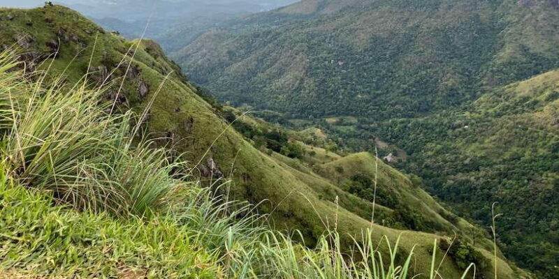 Discover the Best of Sri Lanka in 2 Days - What Travelers Say