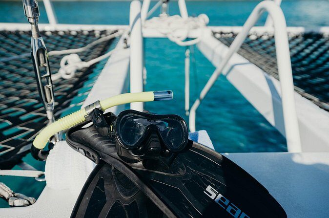 Discover the Best of St. John - Snorkel, Beach & Shopping! - Who Will Love This Tour?