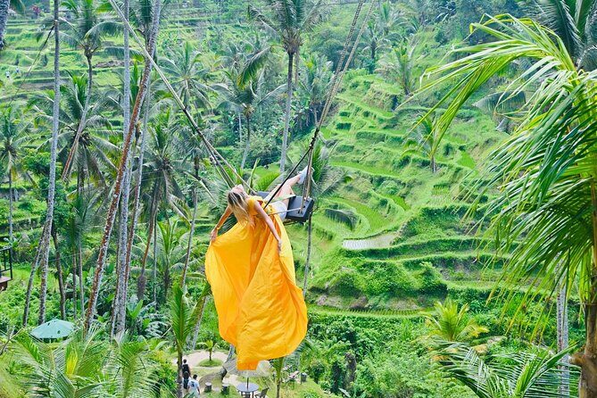 Discover The Best of Ubud: All-Inclusive and Private Guided Tour - A Deep Dive into the Ubud Experience