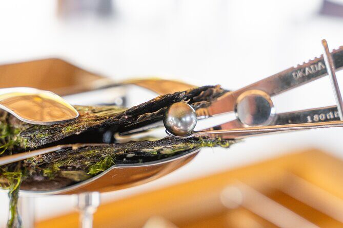 Discover the black pearl in Bora Bora - An In-Depth Look at the Tour Experience