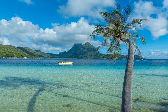 Discover the black pearl in Bora Bora - FAQ