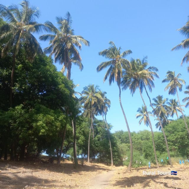 Discover the Black Sand Beach+the Natural Pool - An In-Depth Look at the Tour Experience