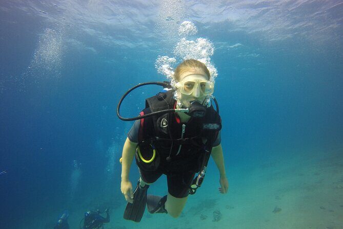 Discover the Depths: Aqaba's Ultimate private Dive Experience - Key Points