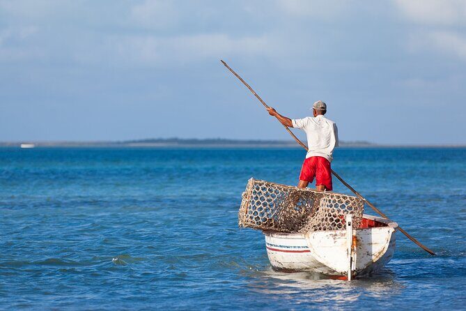 Discover the East of Mauritius: Full-day All-inclusive tour (Visit to 3 parks) - Key Points