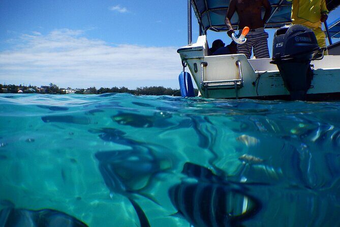 Discover the East of Mauritius: Full-day All-inclusive tour (Visit to 3 parks) - What Travelers Say