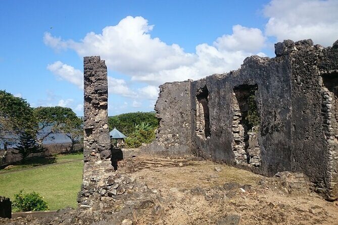 Discover the East of Mauritius: Full-day All-inclusive tour (Visit to 3 parks) - Who Is This Tour Best For?
