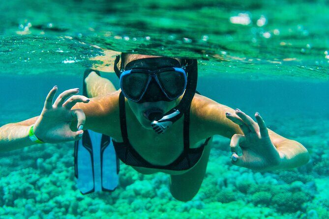 Discover the East of Mauritius: Full-day All-inclusive tour (Visit to 3 parks) - Final Thoughts