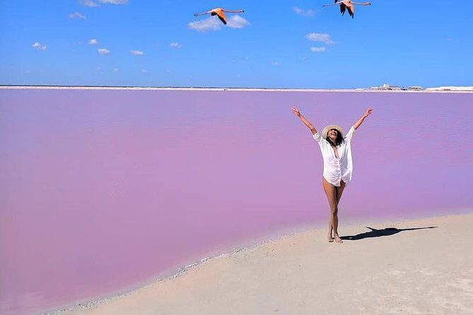 Discover the FABULOUS PINK WATERS in the Caribean - An In-Depth Look at the Tour Experience