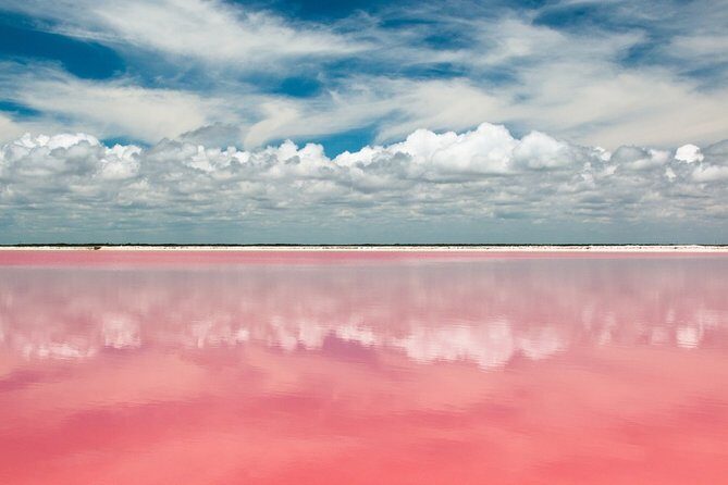 Discover the FABULOUS PINK WATERS in the Caribean - Authentic Insights from Travelers