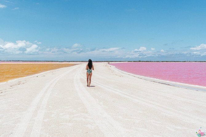 Discover the FABULOUS PINK WATERS in the Caribean - Pricing and Value for Money