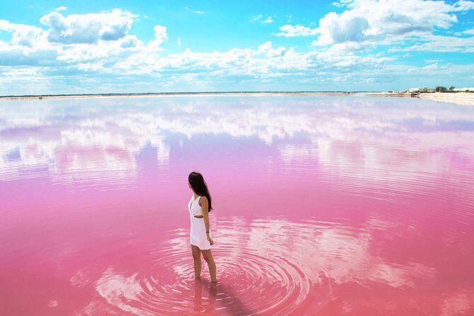 Discover the FABULOUS PINK WATERS in the Caribean - Who Is This Tour Best For?