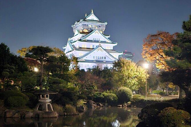 Discover the Hidden Gem of Osaka's Private Walking Tour - Introduction: Why This Tour Stands Out