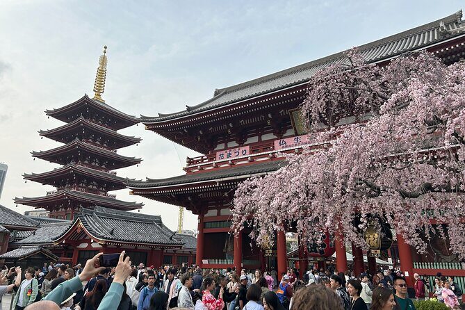 Discover the hidden gems of Tokyo:Private Tour with a Local Guide - Traditional Crafts: Tsubaya Knives