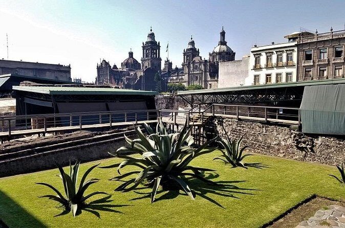 Discover the Latin-American Tower and Historic Center Tour - Who This Tour Is Best For