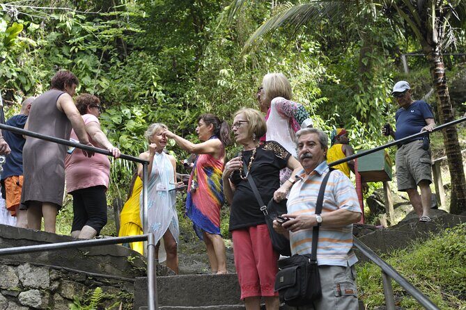 Discover the Magic of Annandale Waterfall & Forest Park - An Overview of the Tour Experience