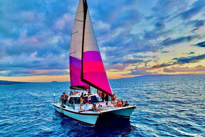 Discover the Magic of Coral Gardens Turtle Town - Maalaea Harbor - An In-Depth Look at the Coral Gardens Turtle Town Tour