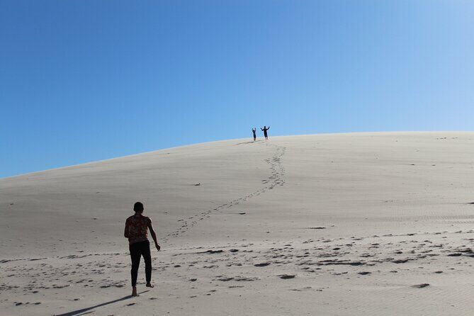 Discover the unusual sites of Dakhla in a 4x4 with a local guide - Key Points