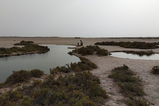 Discover the unusual sites of Dakhla in a 4x4 with a local guide - What Makes This Tour Stand Out?