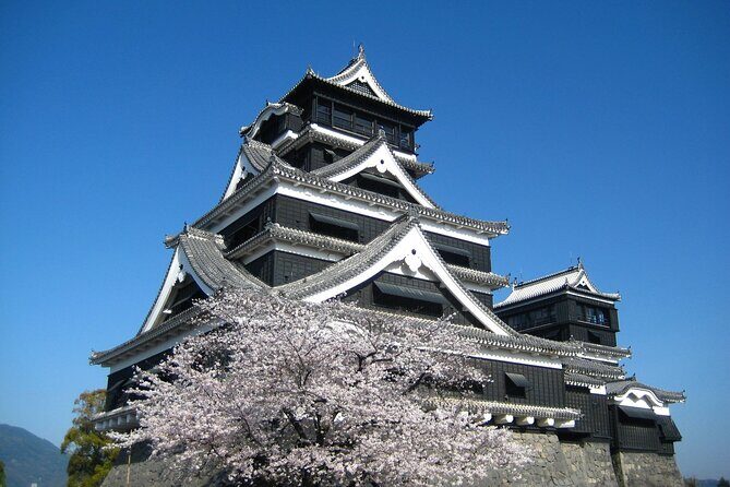 Discover the Wonders of Kumamoto Tour Ramen lunch included - What Do Travelers Say?
