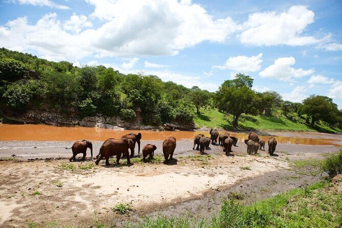 Discover The World's Top Best 4-day Tanzania Group Camping safari - Key Points