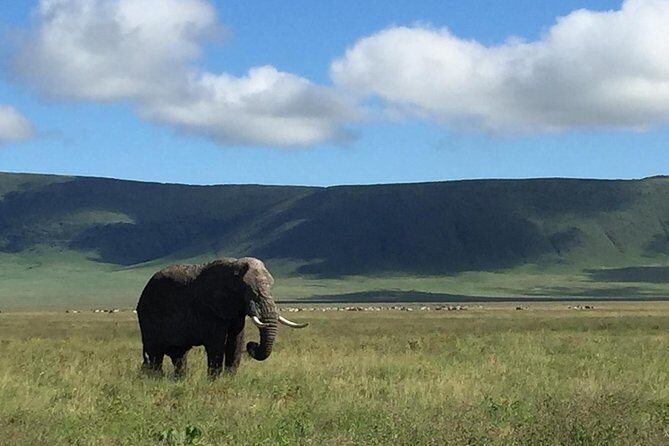 Discover The World's Top Best 4-day Tanzania Group Camping safari - Day 1: From Arusha to Central Serengeti