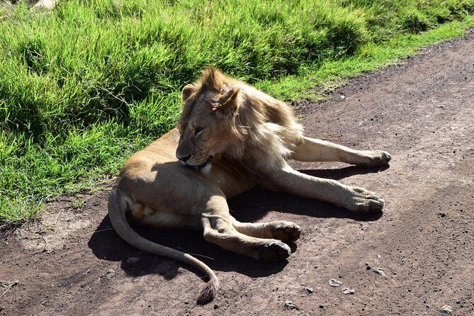 Discover The World's Top Best 4-day Tanzania Group Camping safari - Frequently Asked Questions