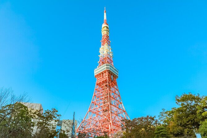 Discover Tokyo, Private Customized Tour with Expert Guides - Cost and Value Analysis