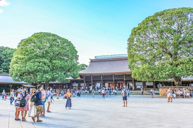 Discover Tokyo, Private Customized Tour with Expert Guides - Summary: Who Will Love This Tour?