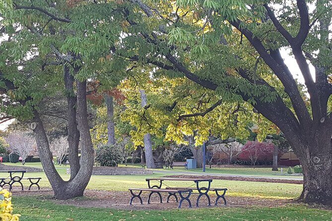 Discover Toowoomba Tours - Why Choose Discover Toowoomba Tours?