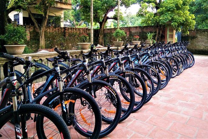 Discover Trang An Natural World Heritage, Bich Dong Pagoda, Cycling Day Tour - An In-Depth Look at the Tour Experience