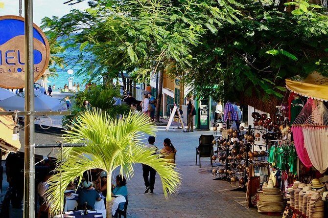 Discover Tulum, Visit Coba And Swim In A Real Mayan Cenote and Playa del carmen - Who Should Consider This Tour?