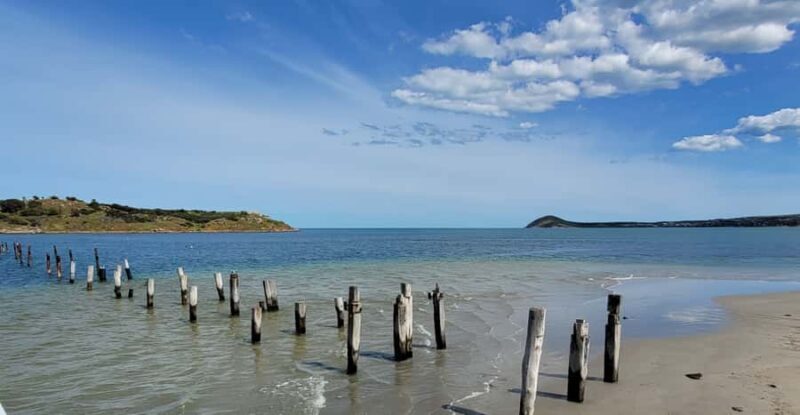 Discover Victor Harbor Guided Walking Tour - Key Points