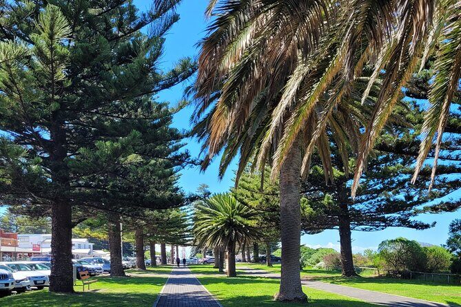 Discover Victor Harbor Walking Tour - The Sum Up