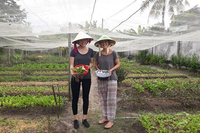 Discover vietnamese Agriculture,culture ,Cuisine and Cu chi Tunnels in Saigon - The Logistics & Pricing: Value for Money
