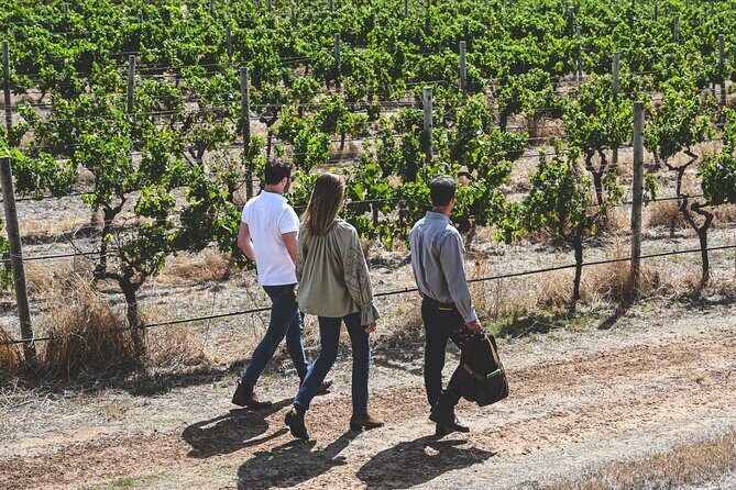 Discover Voyager Tour and Wine Tasting - An In-Depth Look at the Tour