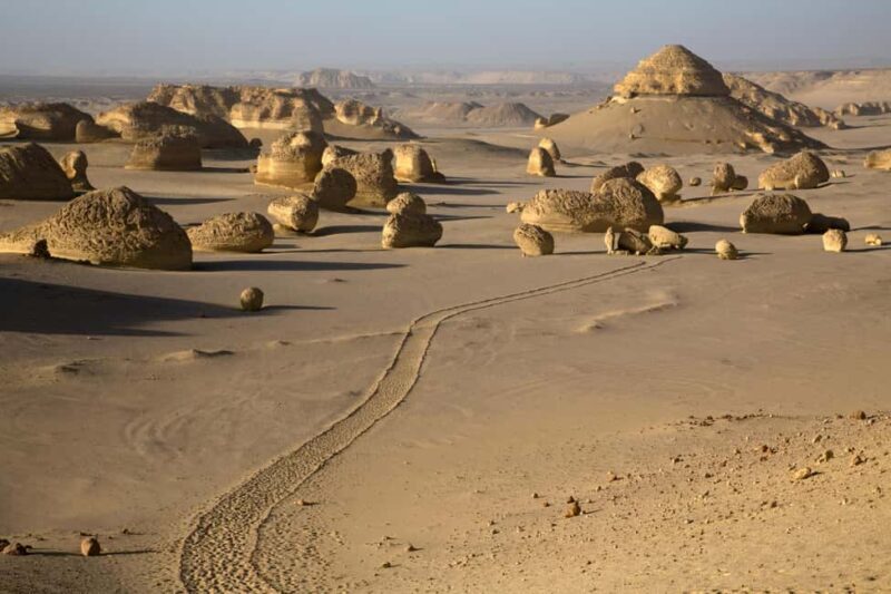 Discover Wadi Hitan, Egypts Prehistoric Wonder! - Transport, Timing, and Overall Value