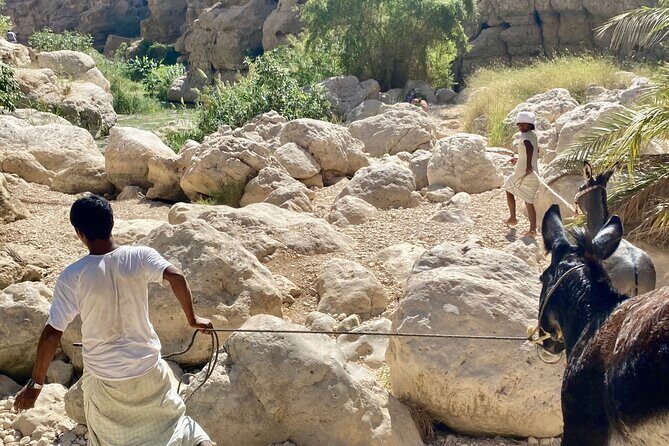 Discover Wadi Shab by a Professional Omani Guide (private). - Who Will Love This Tour?