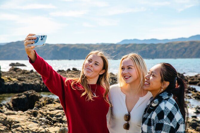 Discover Wellington 3 hour City Tour - Frequently Asked Questions