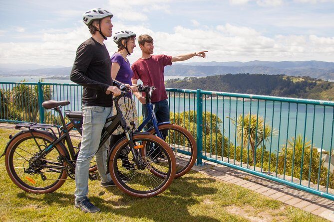 Discover Wellington 3 hour City Tour - Final Thoughts