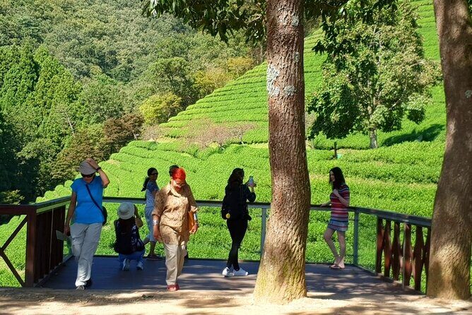 Discover Western Korea in 4days: All-Inclusive Experience - Final Thoughts