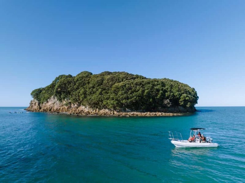 Discover Whangamata - Boat Tour - A Deeper Look: What You Can Expect