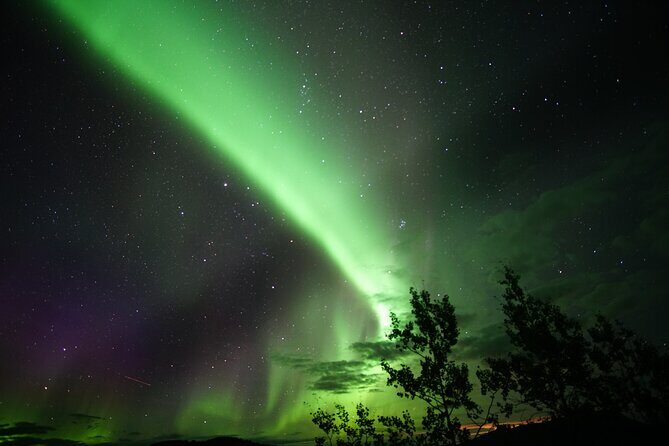 Discover Whitehorse with Northern Lights and Yukon Wildlife Tour - The Sum Up