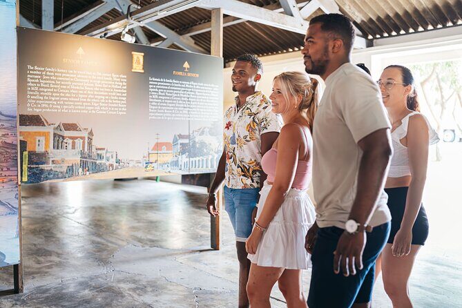 Discover Willemstad & Lunch ( Half day tour) - Who Should Consider This Tour