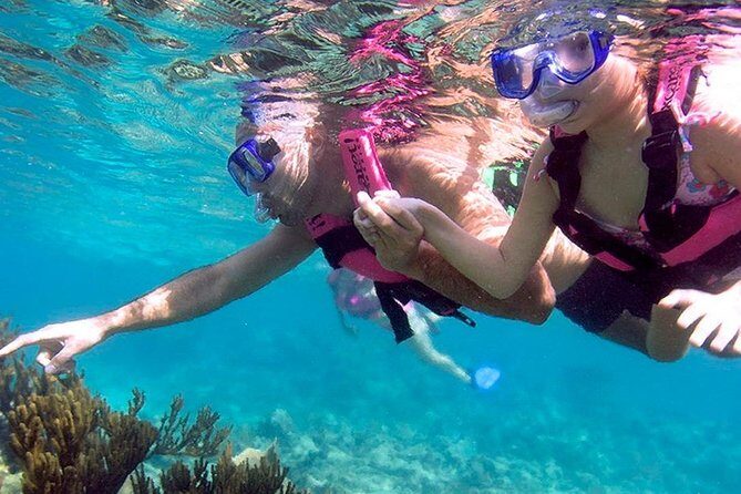 Discover Xcaret Park - Plus Tour with Transportation from Cancún - The Sum Up