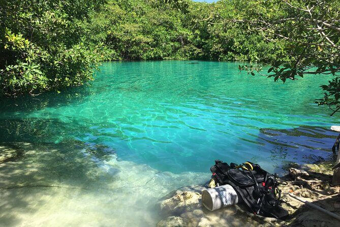Discovering Breathtaking Cenotes in Tulum - What to Expect and Tips for the Tour
