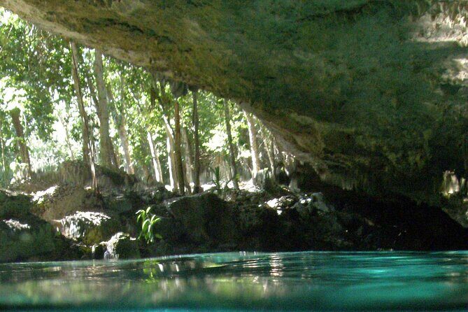 Discovering Breathtaking Cenotes in Tulum - Authentic Experiences and Traveler Insights