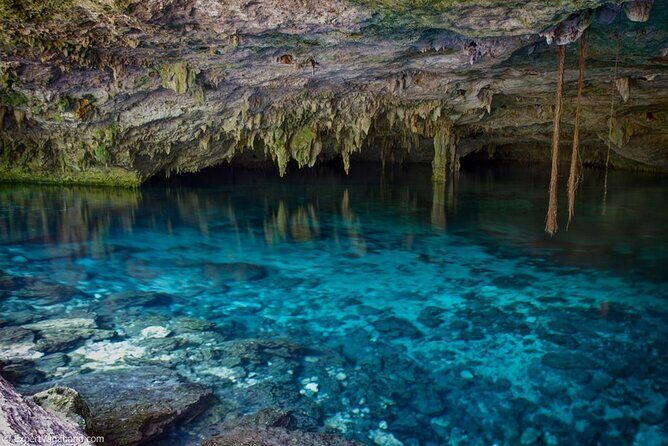 Discovering Breathtaking Cenotes in Tulum - The Sum Up