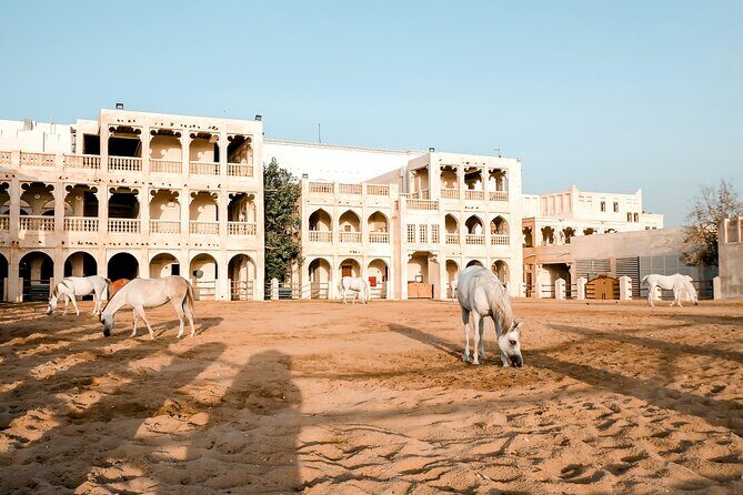 Discovering Doha Qatar | Guided City Tour | Half Day - Authentic Experiences and Traveler Feedback